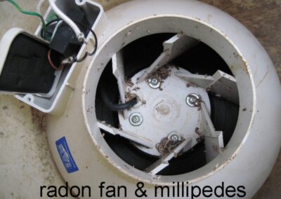 Odd Things Image gallery by Radon Done Right, A Maine based Radon Mitigation Company